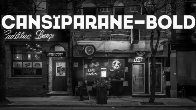 Cansiparane-Bold Font examples