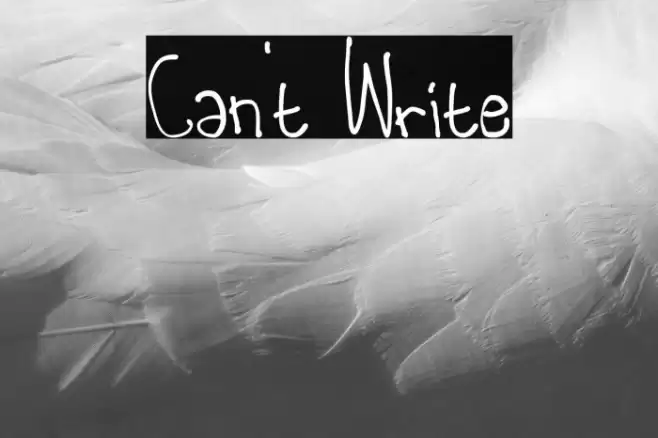 Can't Write 字体 examples