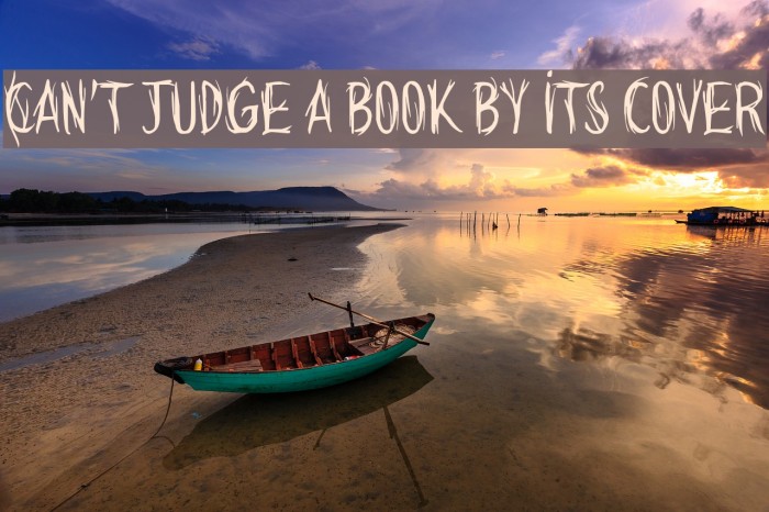 Can't judge a book by its cover Font examples