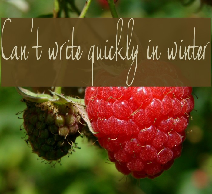 Can't write quickly in winter Font examples