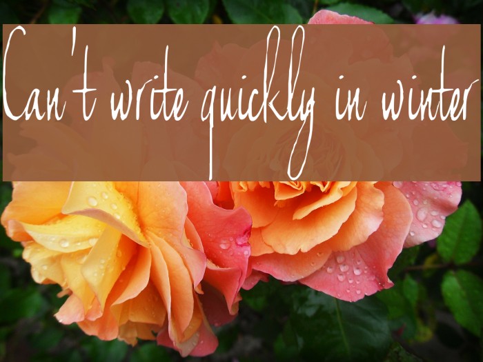 Can't write quickly in winter Font examples