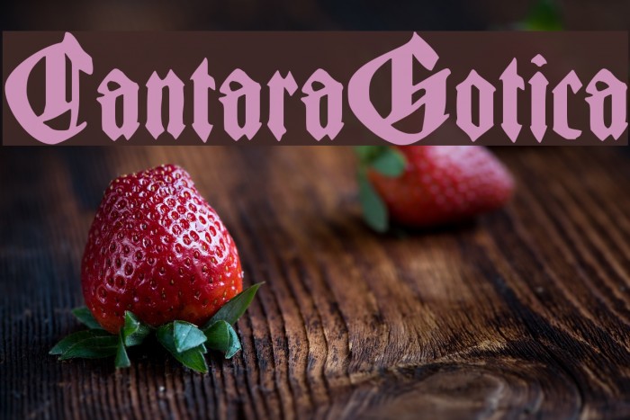 CantaraGotica Font examples