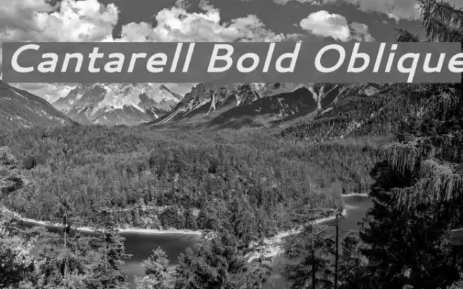 Cantarell Bold Oblique Font examples