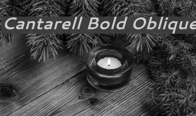 Cantarell Bold Oblique Font examples