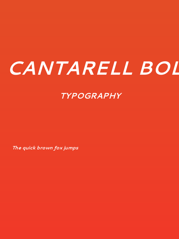 Cantarell Bold Oblique Poster