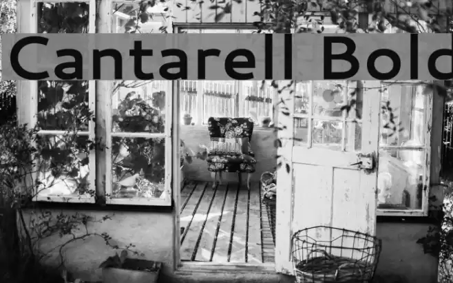 Cantarell Bold Font examples