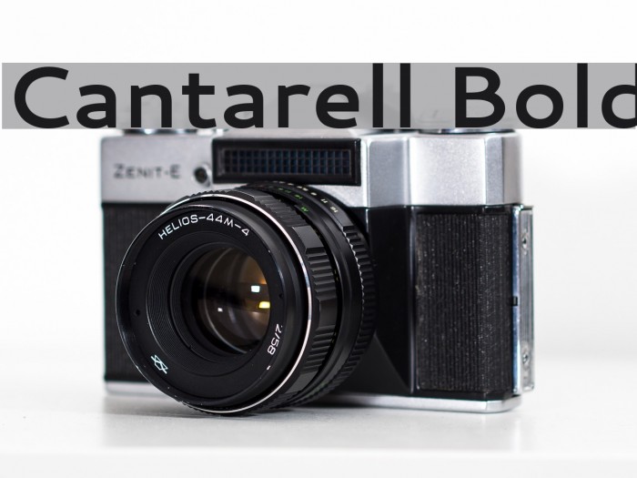 Cantarell Bold Font examples