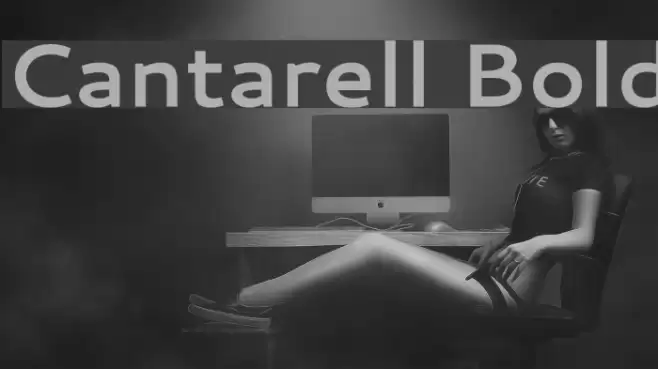Cantarell Bold Font examples
