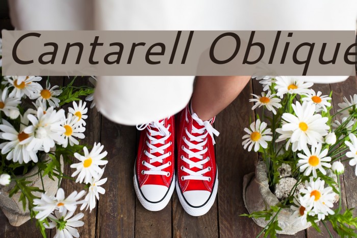 Cantarell Oblique Font examples