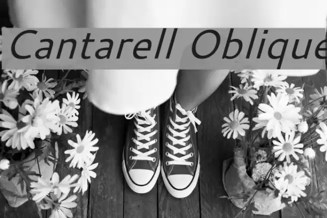 Cantarell Oblique Font examples