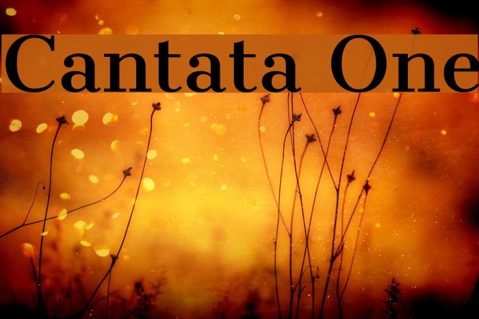 Cantata One Font examples