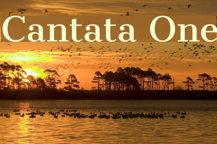 Cantata One Font examples