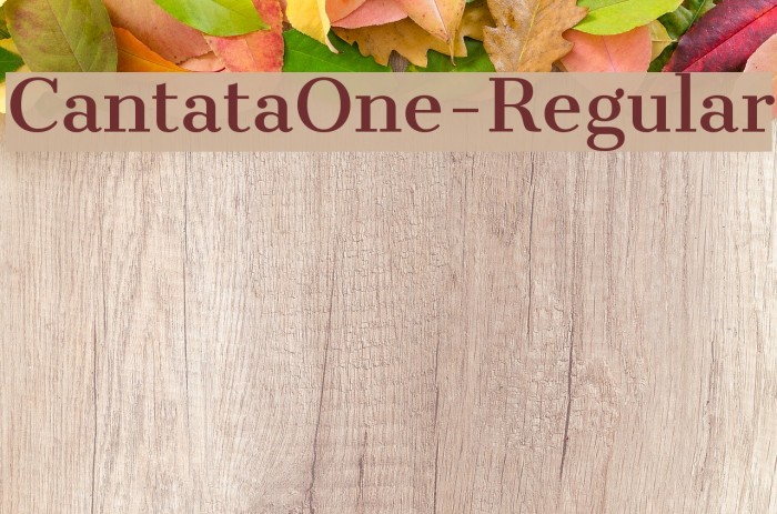 CantataOne-Regular Font examples