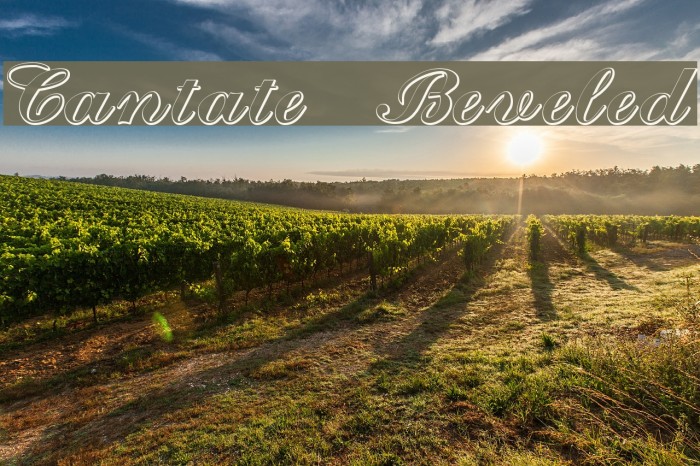 Cantate Beveled Example 2