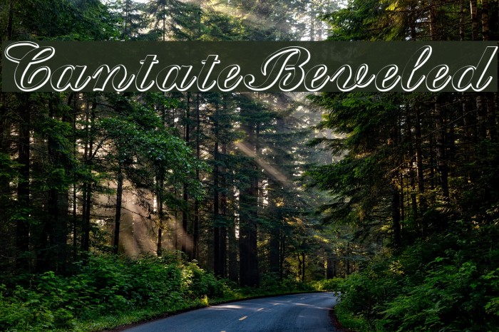 CantateBeveled Font examples