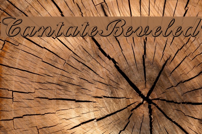 CantateBeveled Font examples