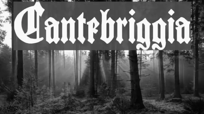 Cantebriggia Font examples