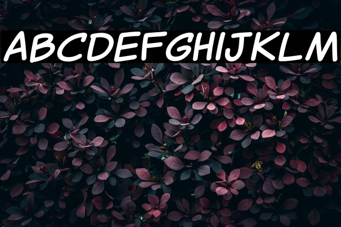 Canted Comic Bold Example 2