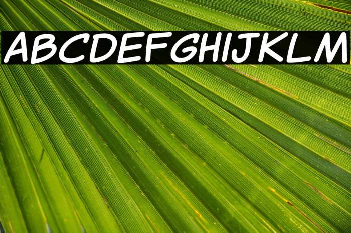 Canted Comic Bold Example 3