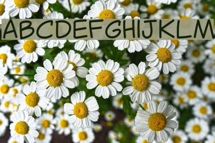 Canted Comic Font examples