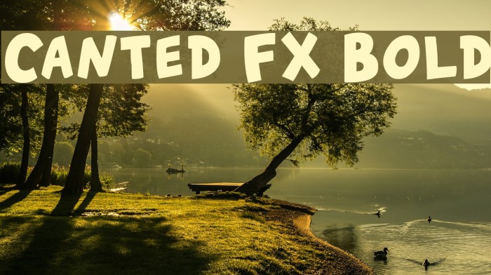 Canted FX Bold Font examples
