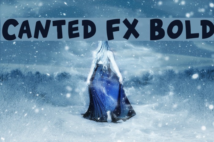 Canted FX Bold Font examples