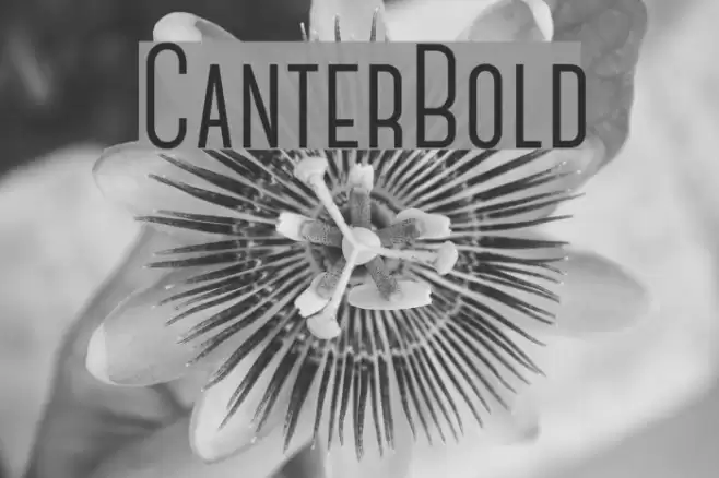 CanterBold Font examples
