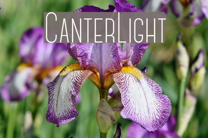 CanterLight Font examples