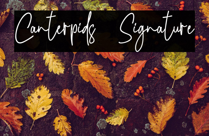 Canterpids  Signature Example 1