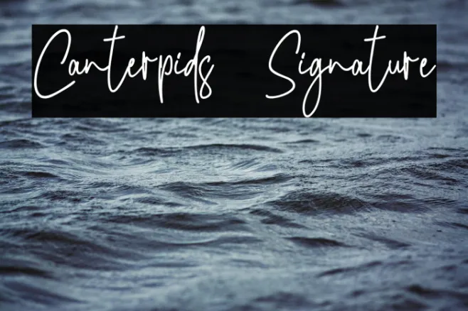 Canterpids  Signature Example 3