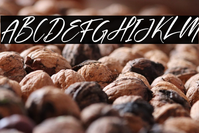 Cantika Prilia Italic Example 2