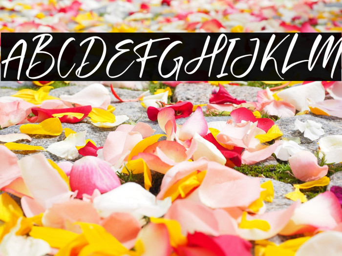 Cantika Prilia Example 2