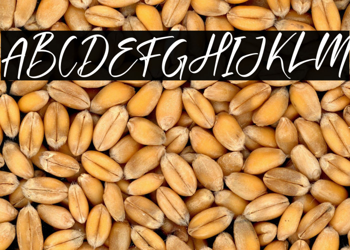 Cantika Prilia Example 3