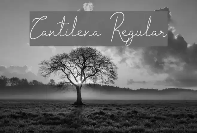 Cantilena Regular Font examples