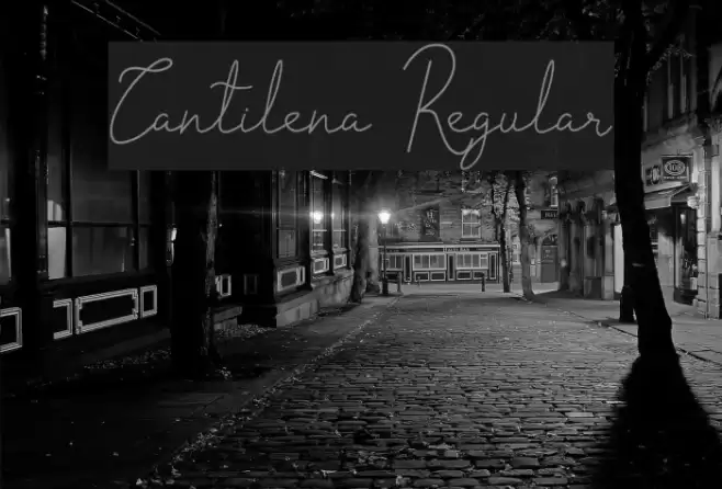 Cantilena Regular Font examples