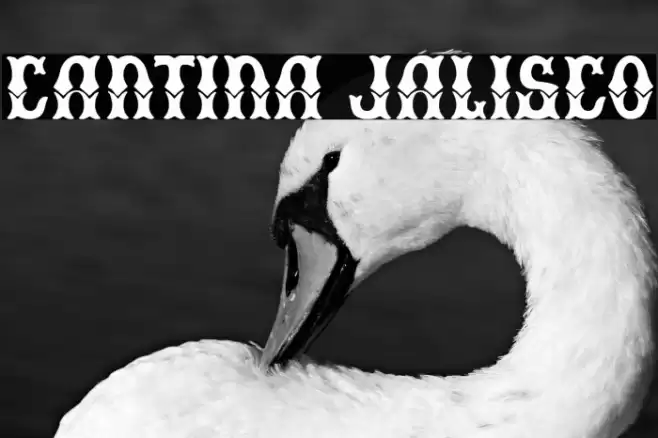 Cantina Jalisco Font examples