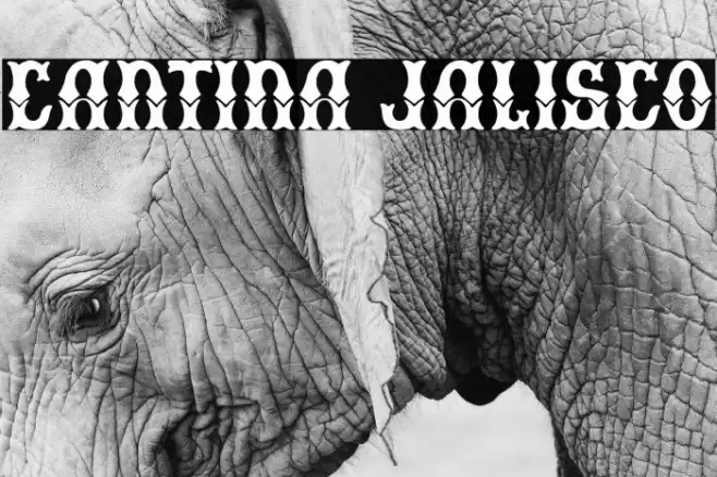 Cantina Jalisco Font examples