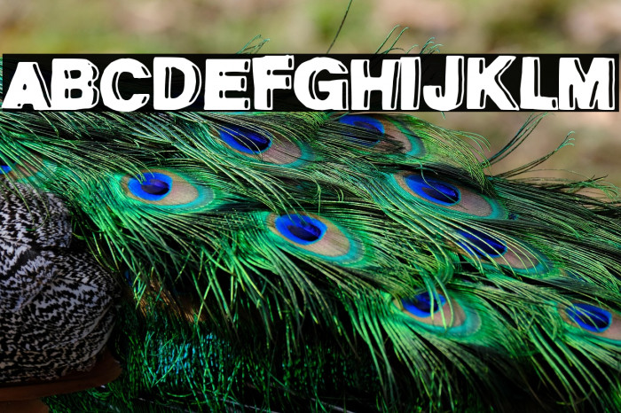 Cantina Parnaso Example 3