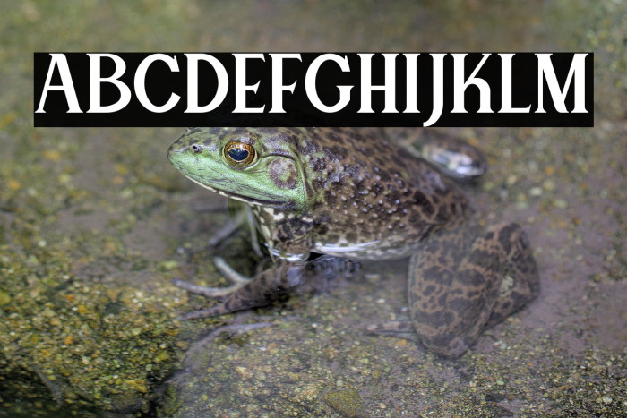 Canting Regular_DEMO Example 1