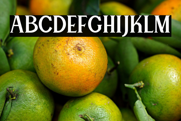 Canting Regular_DEMO Example 2