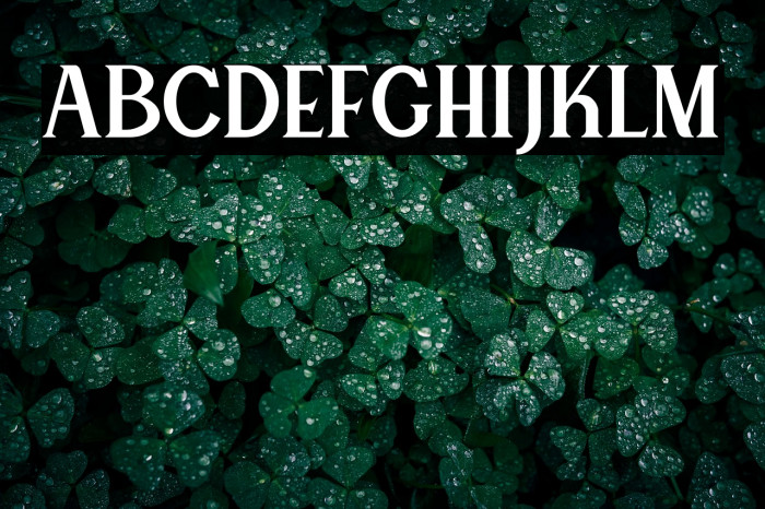 Canting Regular_DEMO Example 3