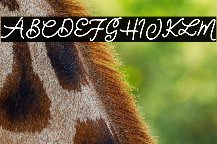 Cantiqu Monoline Example 1