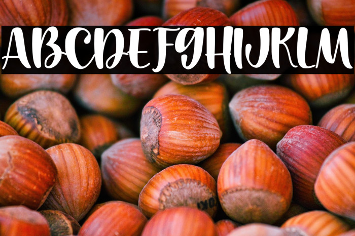 Cantiqu Solid Example 1