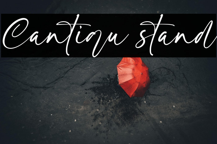 Cantiqu stand Example 1