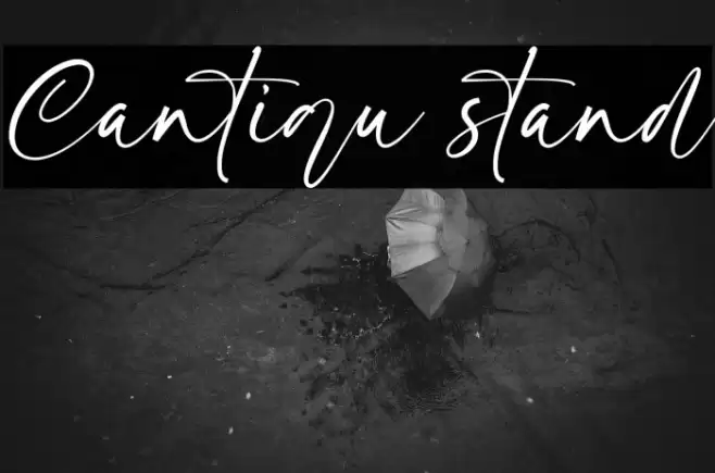 Cantiqu stand Font examples