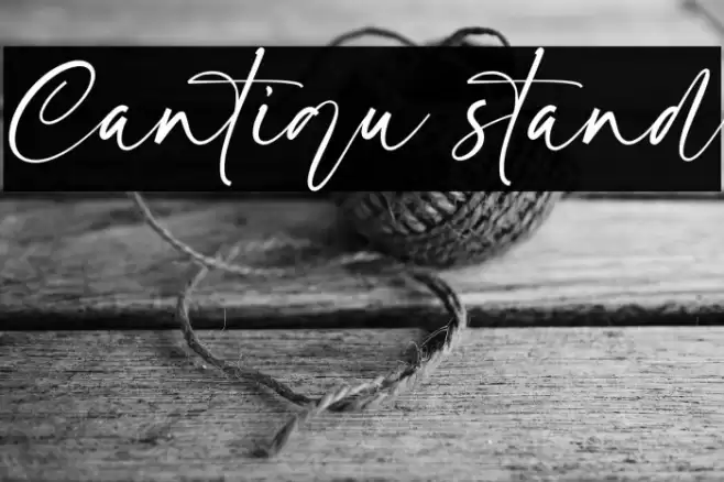 Cantiqu stand Font examples