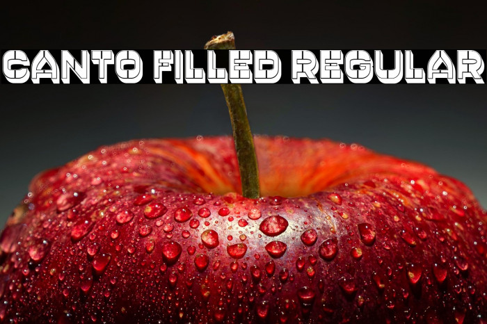 Canto Filled Regular Example 3