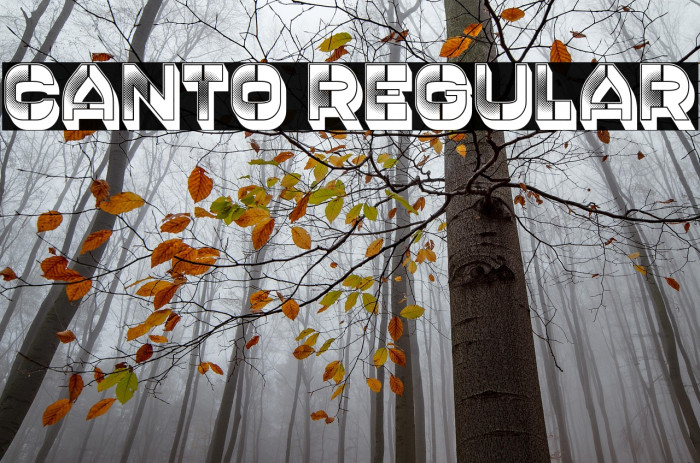 Canto Regular Example 3