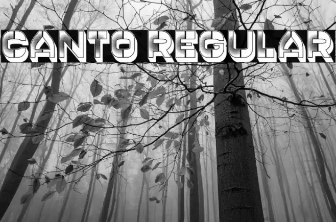 Canto Regular Font examples