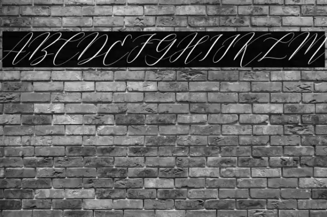 Cantona Slant Slant Font examples